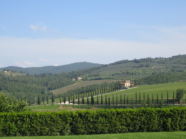Tuscan Wine Regions - Wine Travel