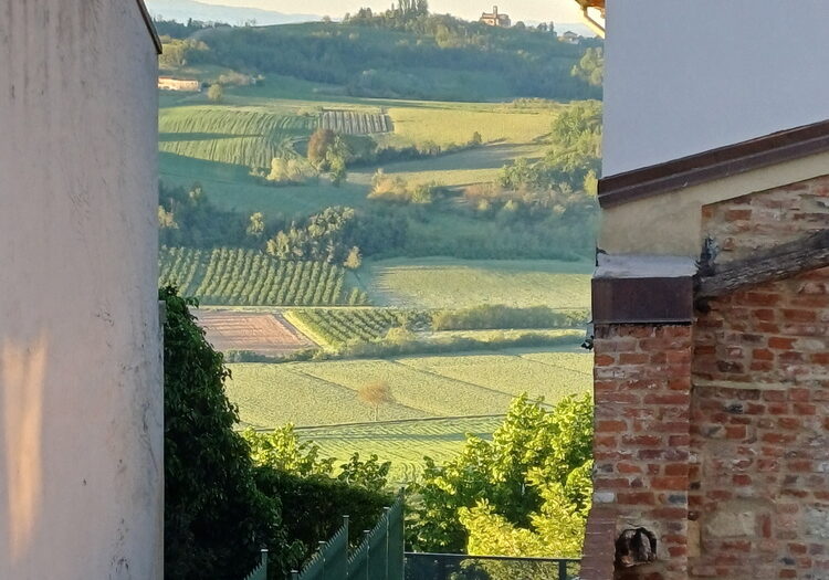 1. Piazzetta Mons Luigi Porta. Quentin Brice Creative Residency, 2024 image courtesy of artists