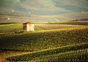 Bed Breakfast vs Hotels Italy.