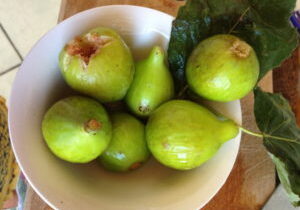 Culture of Food in Italy