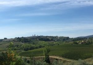 Family Winery in the Heart of Chianti