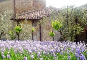 Honeymooning in Italy