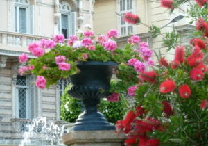 Travel Italy – A Land to come Home to.